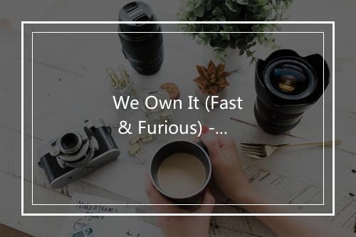 We Own It (Fast & Furious) - #1 Hits Now-歌词