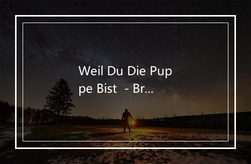 Weil Du Die Puppe Bist  - Bryan Hyland-歌词