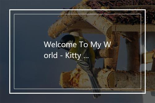 Welcome To My World - Kitty Wells (凯蒂-威尔斯)-歌词