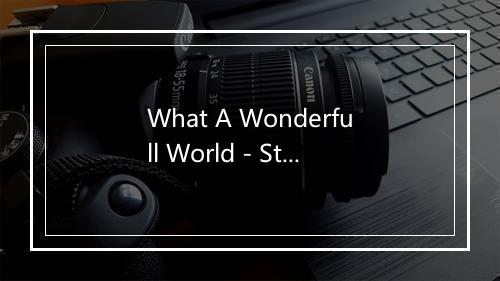 What A Wonderfull World - Steve Cast Orchestra-歌词