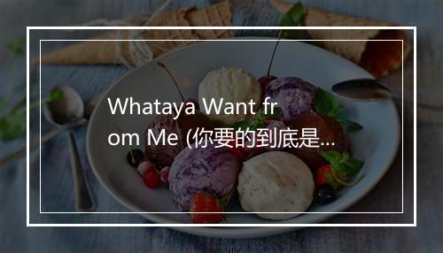 Whataya Want from Me (你要的到底是什么) - Adam Lambert (亚当·兰伯特)-歌词