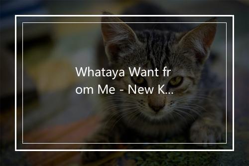 Whataya Want from Me - New Kids In Town-歌词