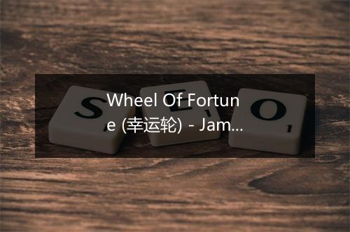 Wheel Of Fortune (幸运轮) - Jamaica Reggae Stars-歌词