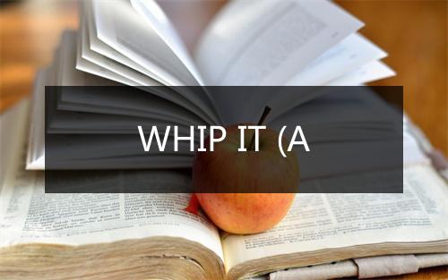 WHIP IT (A