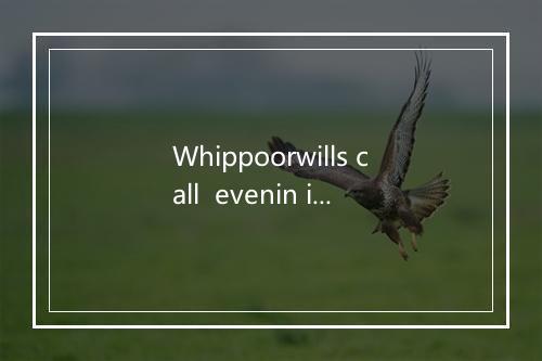 Whippoorwills call  evenin is nigh-歌词