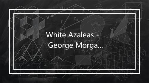 White Azaleas - George Morgan-歌词