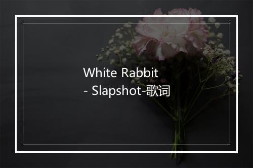 White Rabbit - Slapshot-歌词