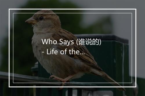 Who Says (谁说的) - Life of the Party-歌词