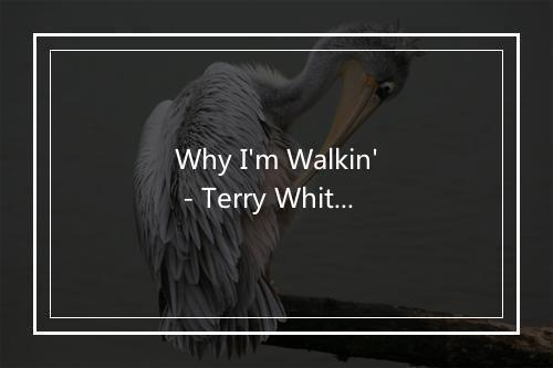 Why I'm Walkin' - Terry White-歌词