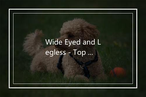 Wide Eyed and Legless - Top Hits Group-歌词