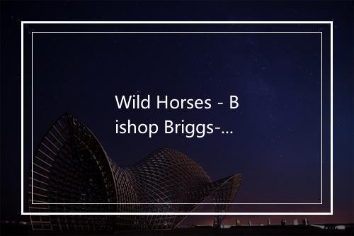 Wild Horses - Bishop Briggs-歌词