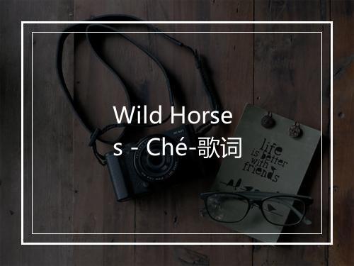 Wild Horses - Ché-歌词