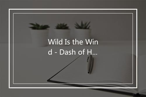 Wild Is the Wind - Dash of Honey-歌词