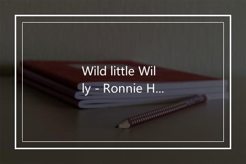 Wild little Willy - Ronnie Hawkins & the Hawks-歌词