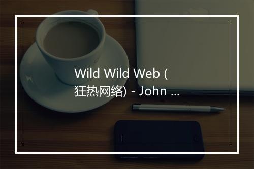 Wild Wild Web (狂热网络) - John The Whistler (吹口哨的约翰)-歌词