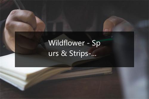 Wildflower - Spurs & Strips-歌词_1