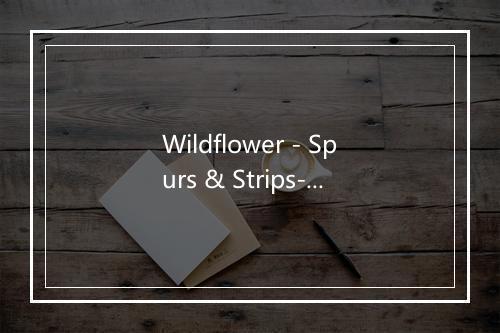 Wildflower - Spurs & Strips-歌词_2