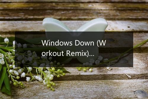 Windows Down (Workout Remix) - Workout Remixers-歌词_1