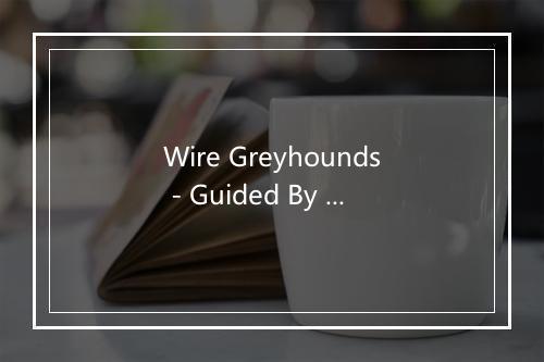 Wire Greyhounds - Guided By Voices-歌词