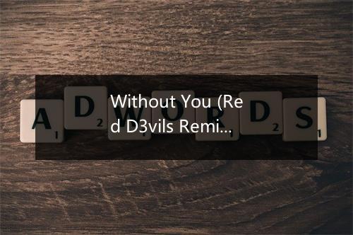 Without You (Red D3vils Remix Edit) - Nick Skitz-歌词