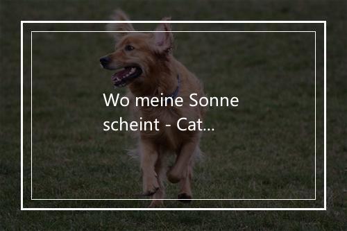 Wo meine Sonne scheint - Caterina Valente-歌词