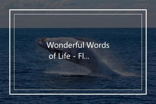 Wonderful Words of Life - Flying Colors-歌词