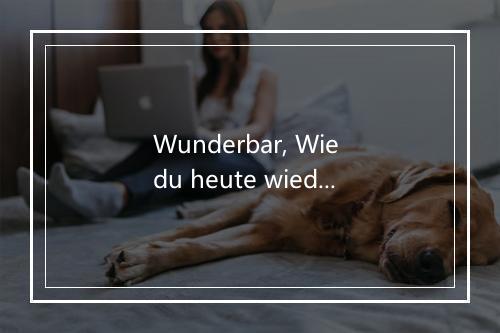 Wunderbar, Wie du heute wieder Küßt (I Got Stung) - Ted Herold-歌词