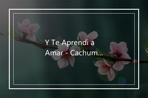 Y Te Aprendi a Amar - Cachumba-歌词