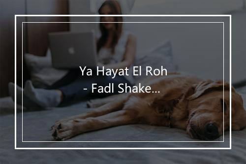 Ya Hayat El Roh - Fadl Shaker-歌词