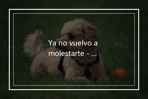 Ya no vuelvo a molestarte - Dolores Villa-歌词