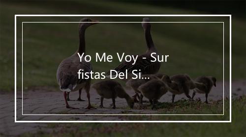 Yo Me Voy - Surfistas Del Sistema-歌词