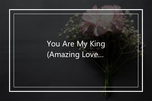 You Are My King(Amazing Love) - The Faith Crew-歌词_1