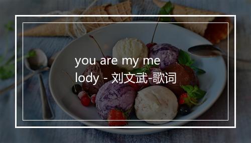 you are my melody - 刘文武-歌词