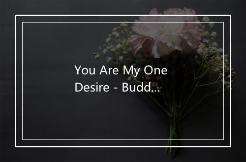 You Are My One Desire - Buddy Holly-歌词_7