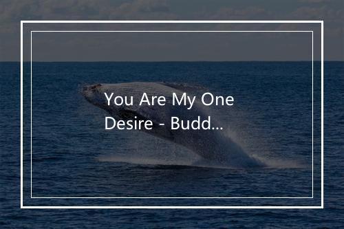 You Are My One Desire - Buddy Holly-歌词_8