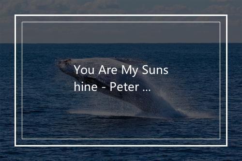 You Are My Sunshine - Peter Abrahamsen-歌词