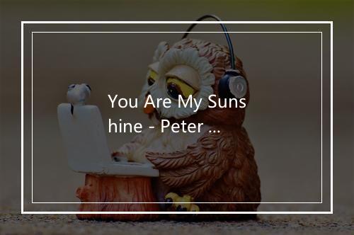 You Are My Sunshine - Peter Princeiples-歌词