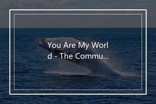 You Are My World - The Communards-歌词