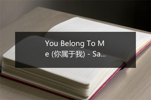 You Belong To Me (你属于我) - Saturday Night At The Movies-歌词_1