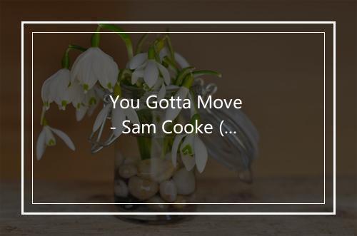 You Gotta Move - Sam Cooke (山姆·库克)-歌词_2