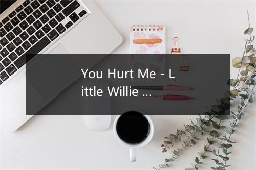 You Hurt Me - Little Willie John-歌词