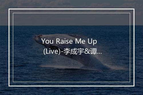 You Raise Me Up (Live)-李成宇&谭芷昀-歌词