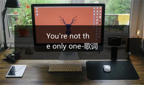 You're not the only one-歌词