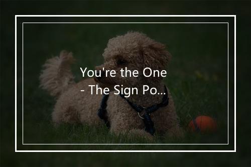 You're the One - The Sign Posters-歌词