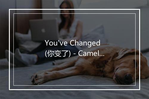 You've Changed (你变了) - Camelia Todorava-歌词