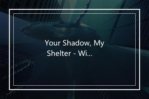 Your Shadow, My Shelter - Withering Surface-歌词