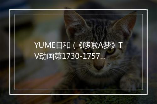 YUME日和 (《哆啦A梦》TV动画第1730-1757片尾曲-《哆啦A梦：大雄的猫狗时空传》剧场版片尾曲) - 島谷ひとみ (岛谷瞳)-歌词