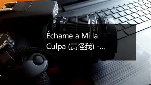 Échame a Mí la Culpa (责怪我) - Los De La Decada-歌词