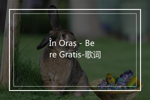 În Oraș - Bere Gratis-歌词