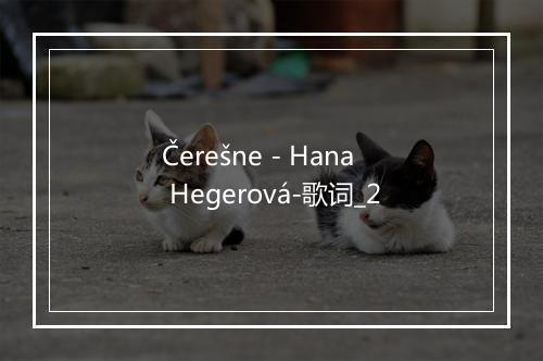 Čerešne - Hana Hegerová-歌词_2